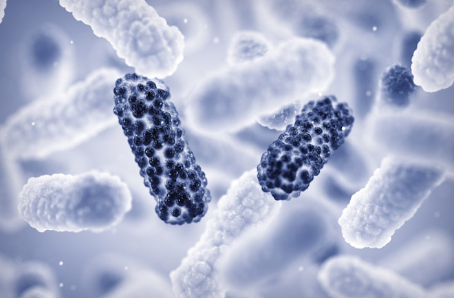 Daily Habits to Combat Antibiotic Resistance: Steps You Can Take This Year