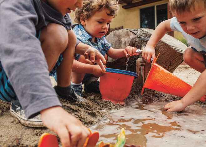 Why Free Play Is Essential for Healthy Childhood Development